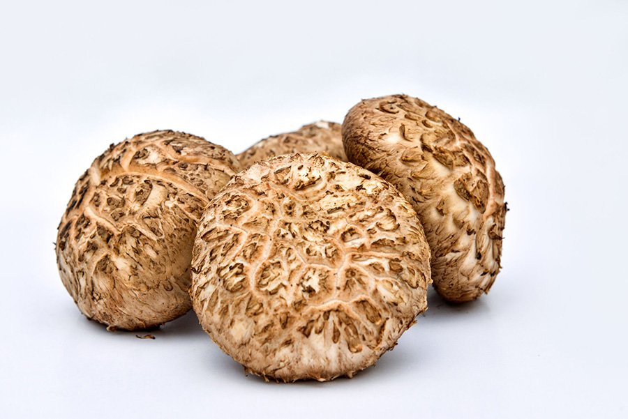 flower shiitake