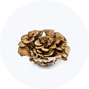 Maitake